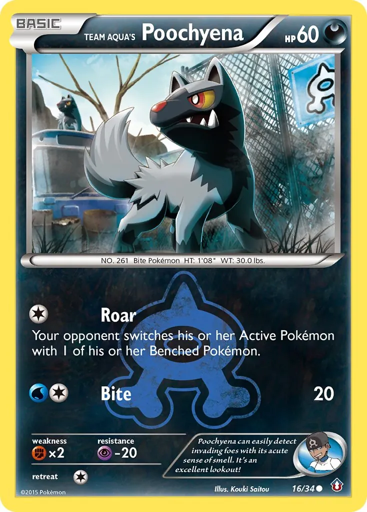 Team Aqua's Poochyena