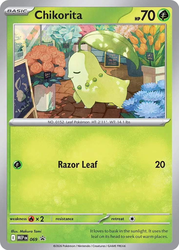 Chikorita