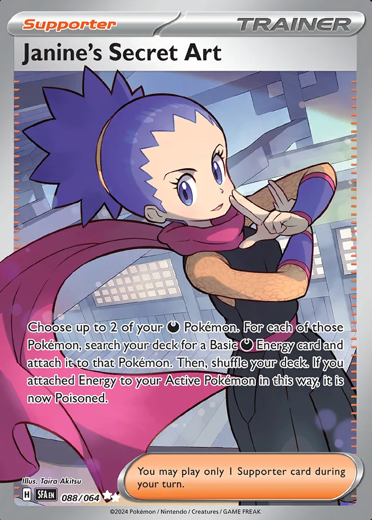Janine's Secret Art