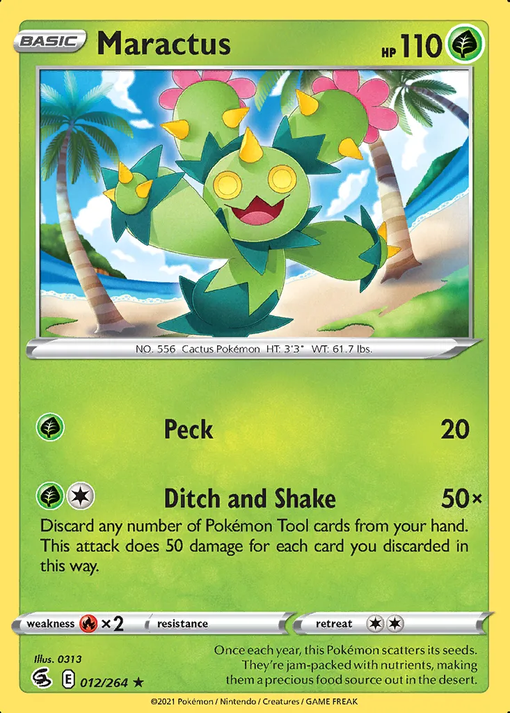 Maractus