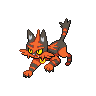 Torracat